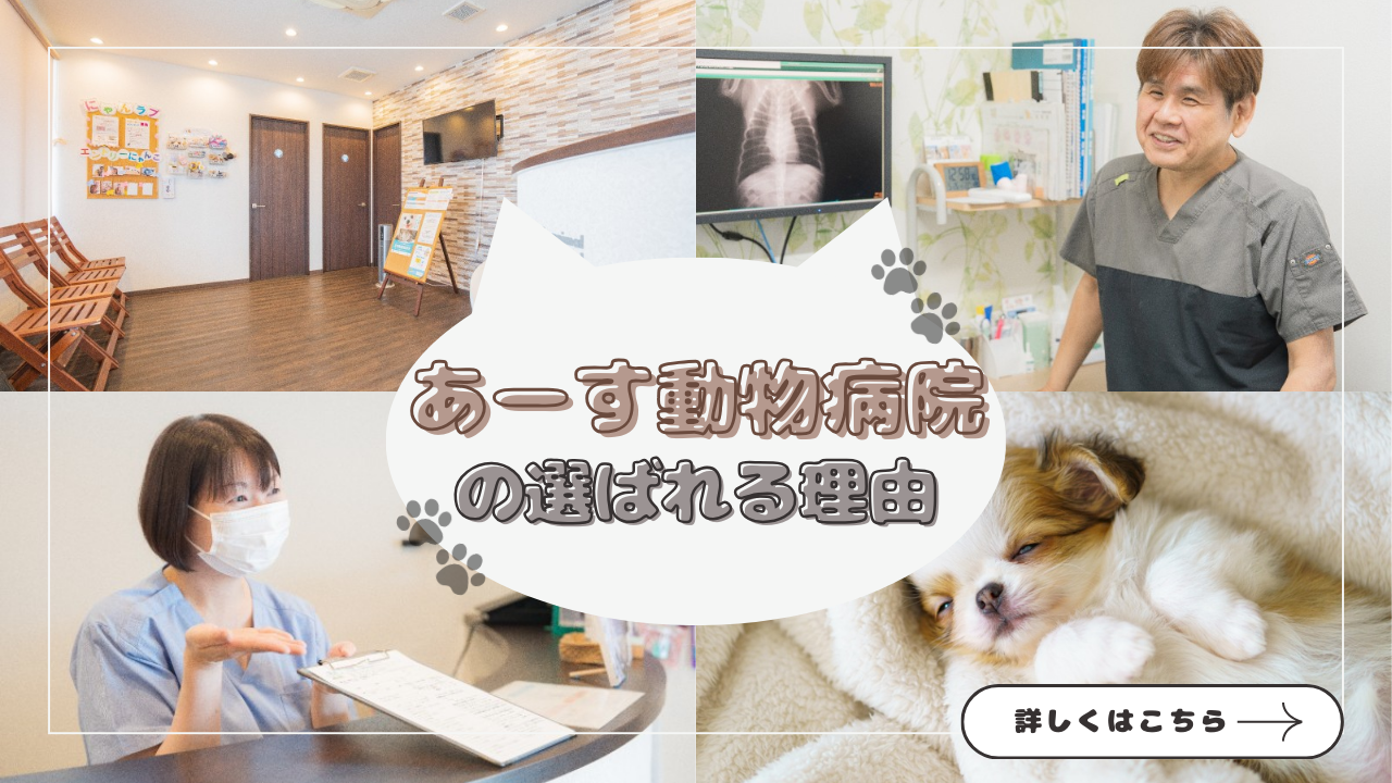 あーす動物びょうんの選ばれる理由