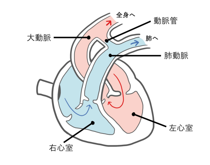 原因