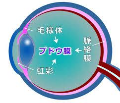 原因