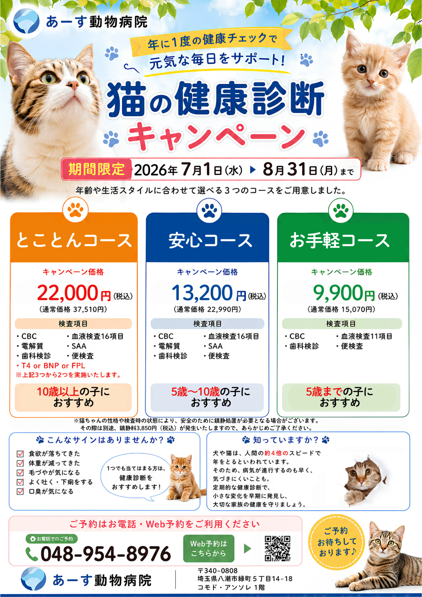 猫の健康診断キャンペーンのお知らせ | お知らせ | 八潮市の動物病院