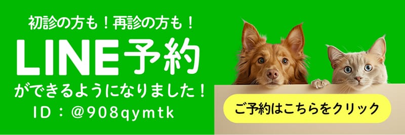 初診の方も！再診の方も！LINE予約ができるようになりました！