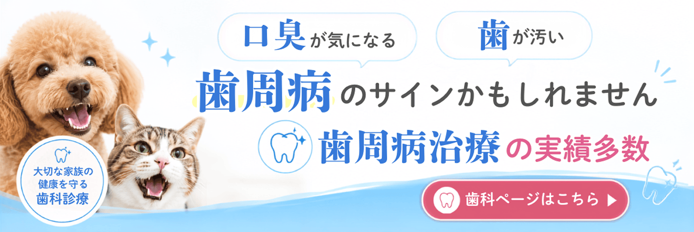 歯科ページはこちらから