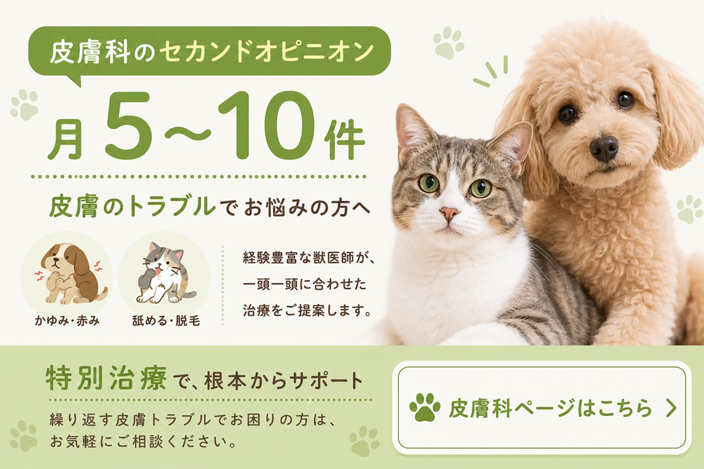 皮膚科ページはこちらから