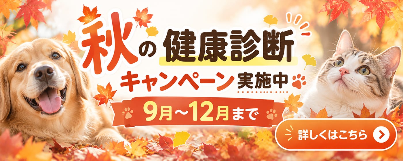 秋の健康診断キャンペーン実施中