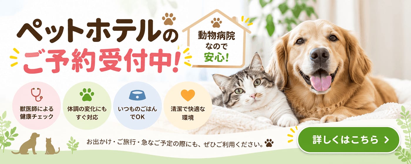 ペットホテルのご予約受付中